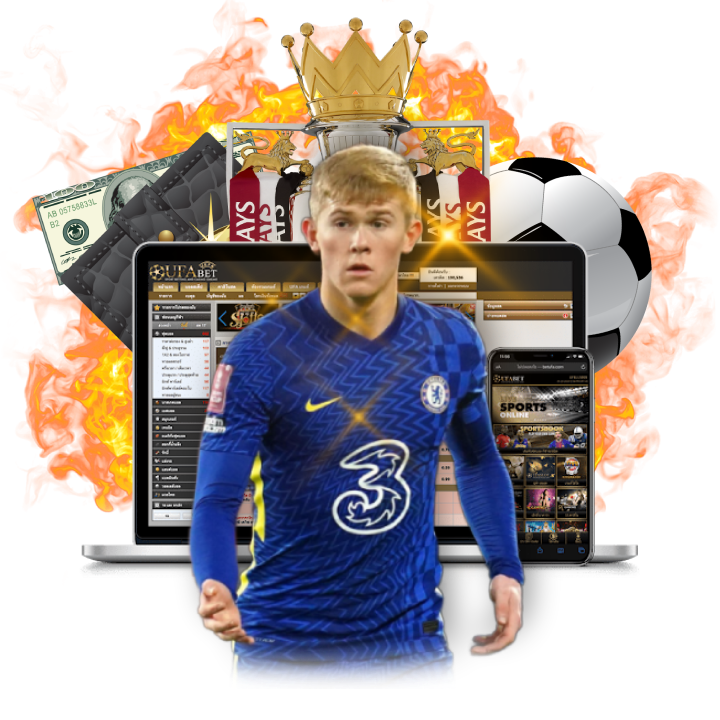 ไม่มีค่าสมัคร