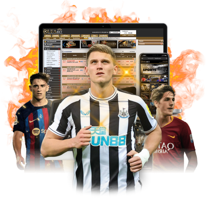 ตัวเลขบนเว็บ